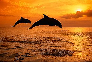 科幻潜行动作《钢铁之种》4月10日发售